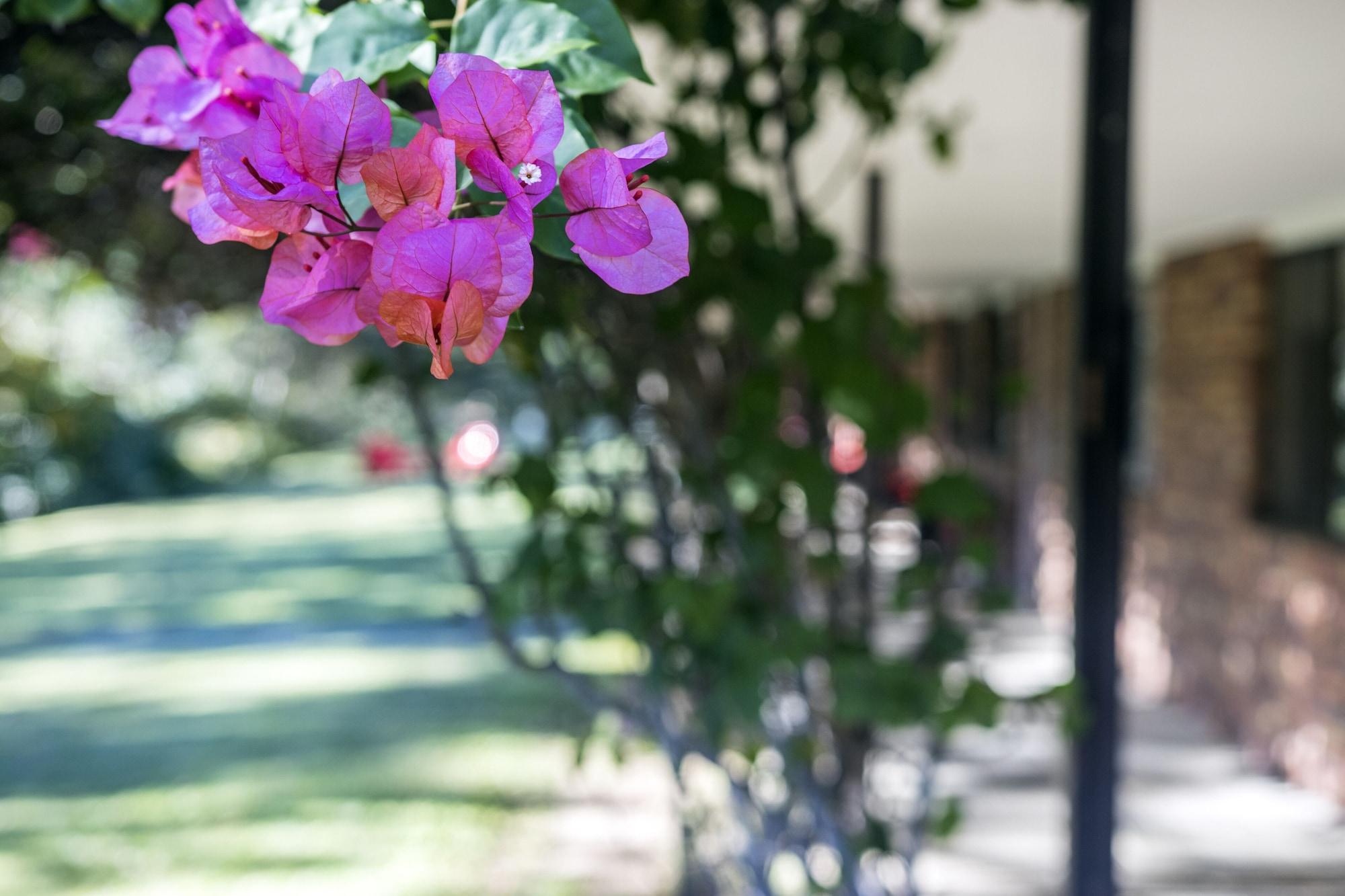 Cedar Creek Lodges Mount Tamborine Exterior foto