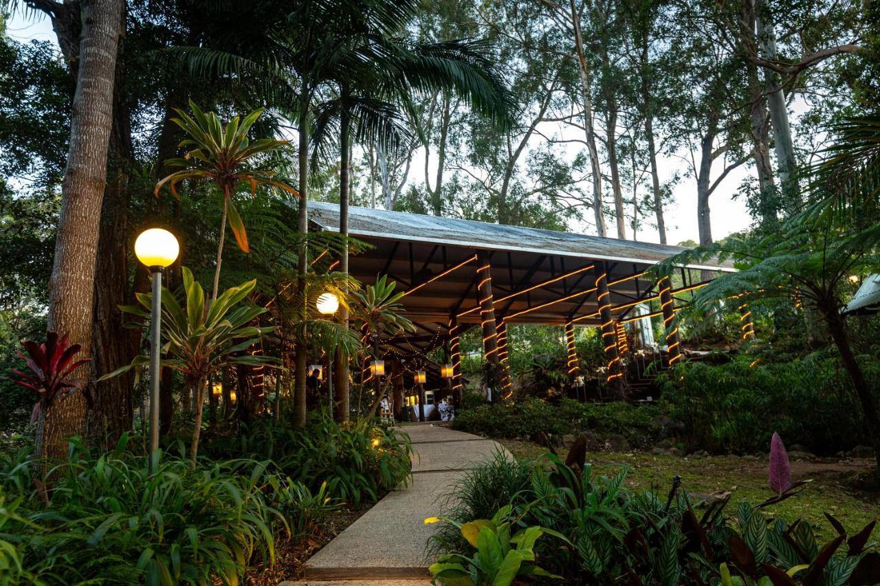 Cedar Creek Lodges Mount Tamborine Exterior foto