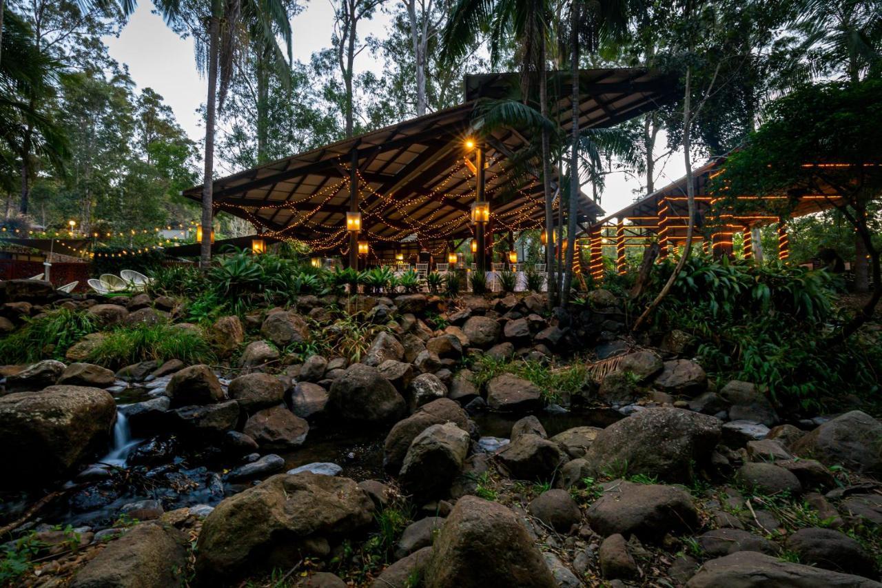 Cedar Creek Lodges Mount Tamborine Exterior foto