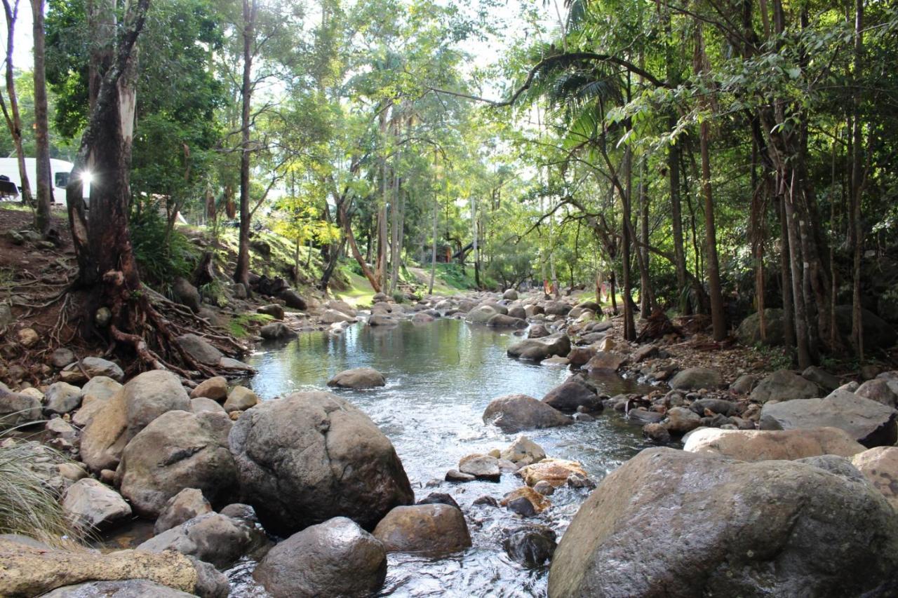 Cedar Creek Lodges Mount Tamborine Exterior foto