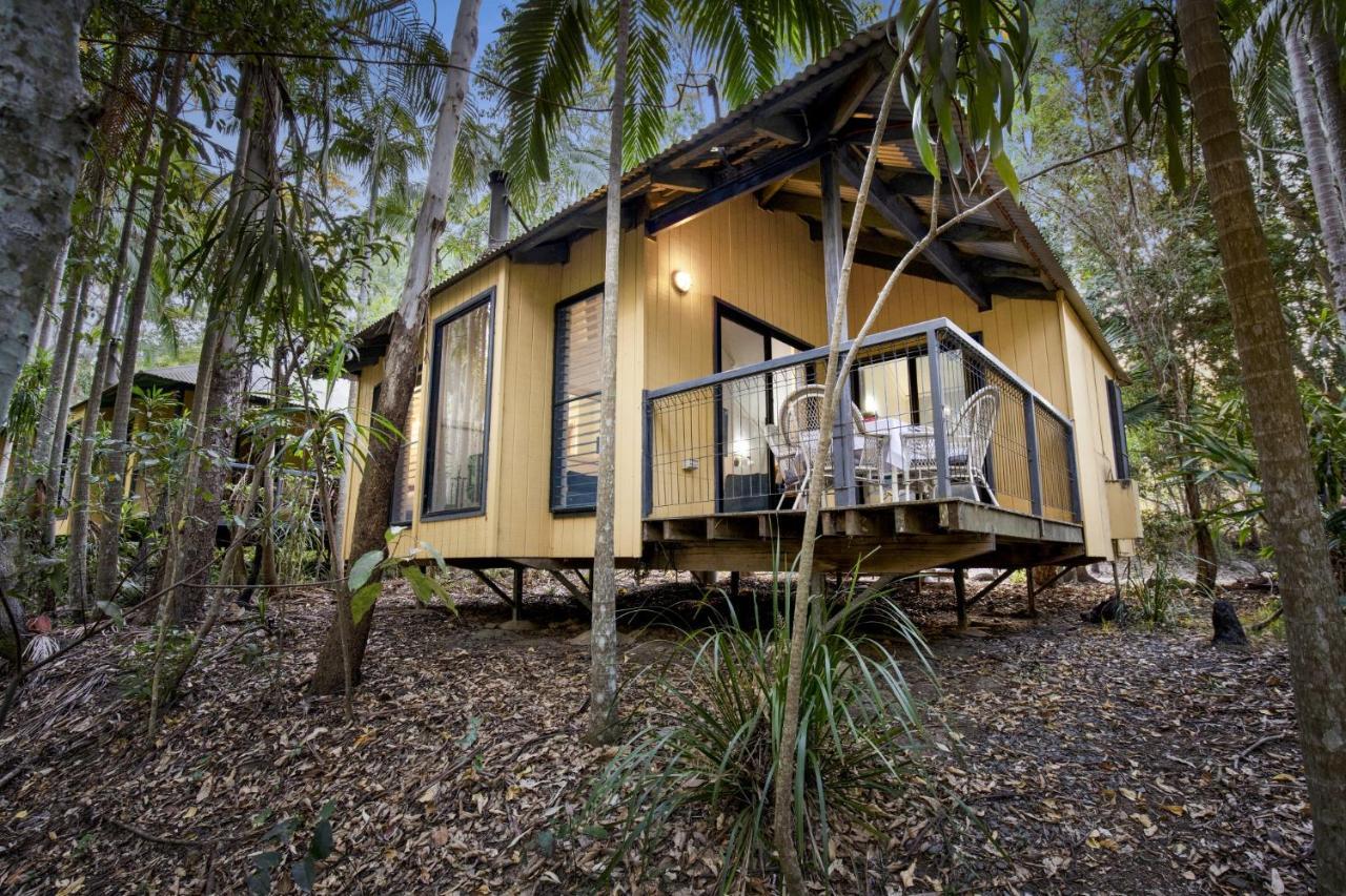 Cedar Creek Lodges Mount Tamborine Exterior foto