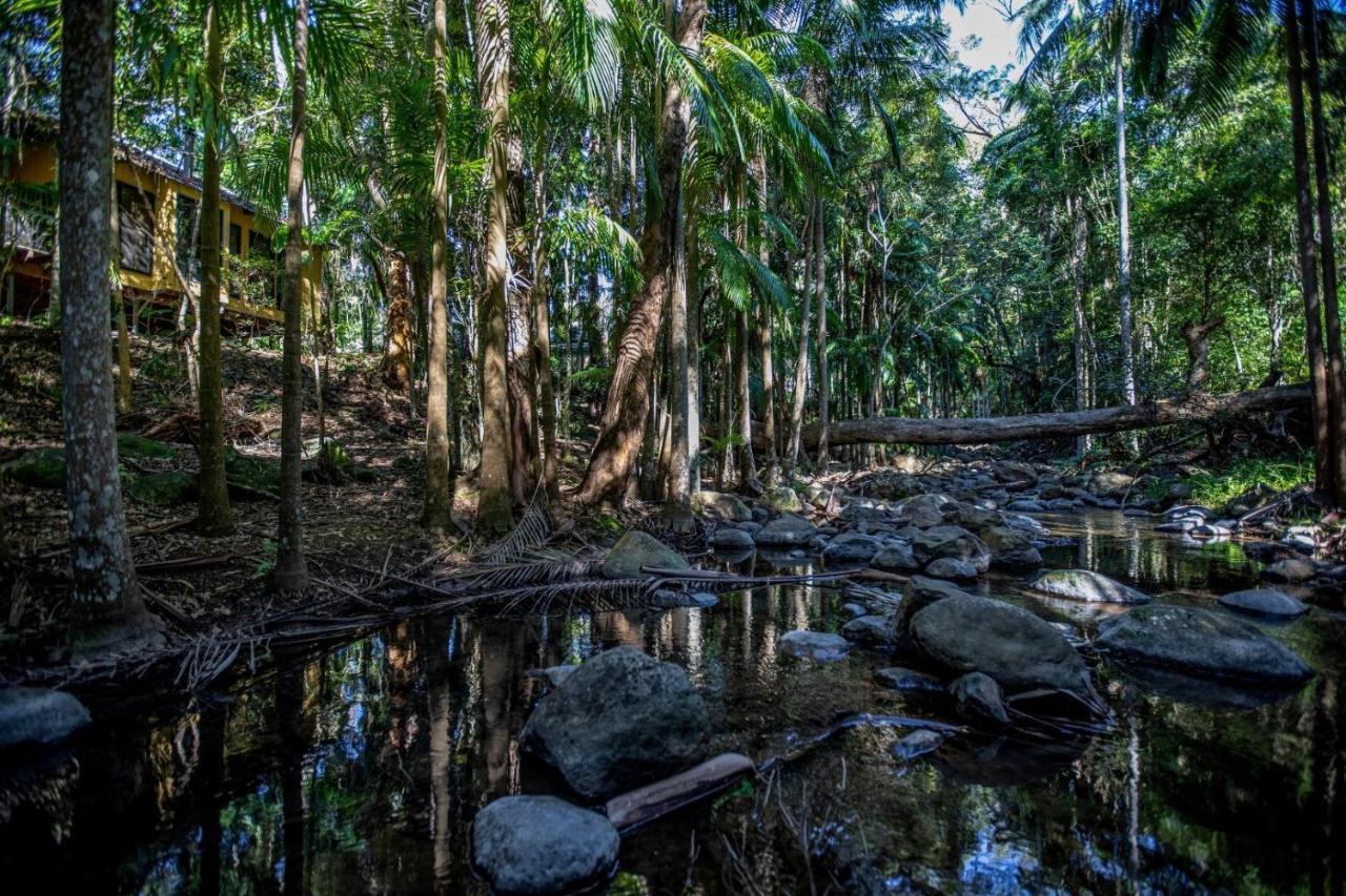 Cedar Creek Lodges Mount Tamborine Exterior foto