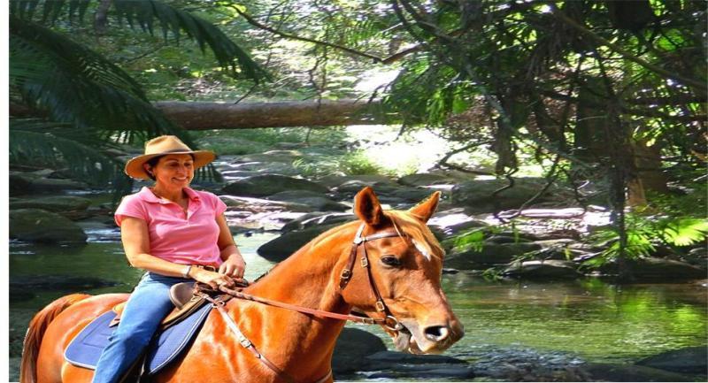 Cedar Creek Lodges Mount Tamborine Exterior foto