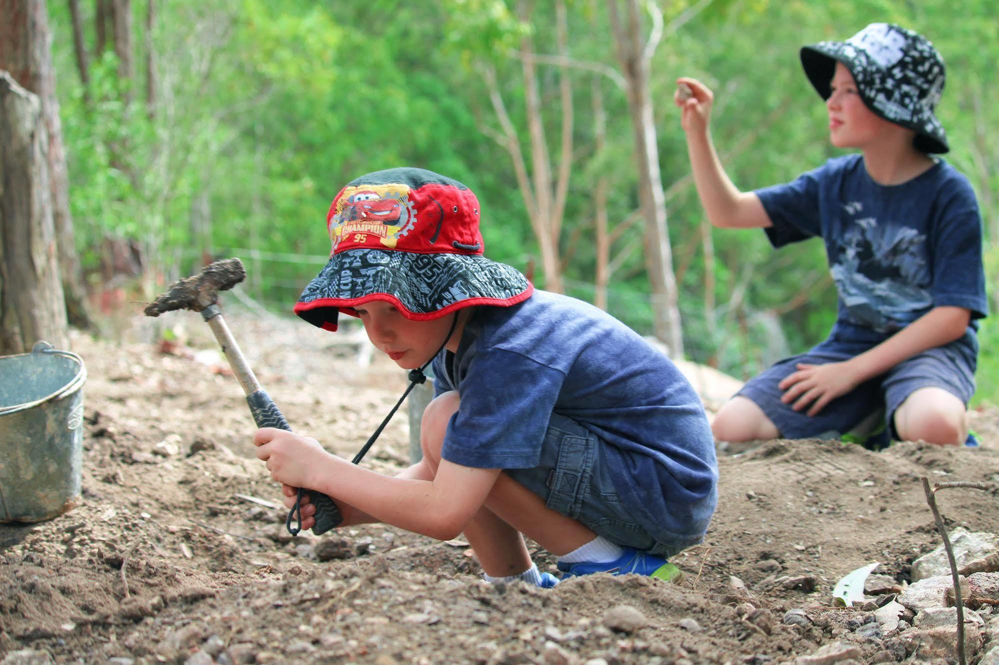 Cedar Creek Lodges Mount Tamborine Exterior foto