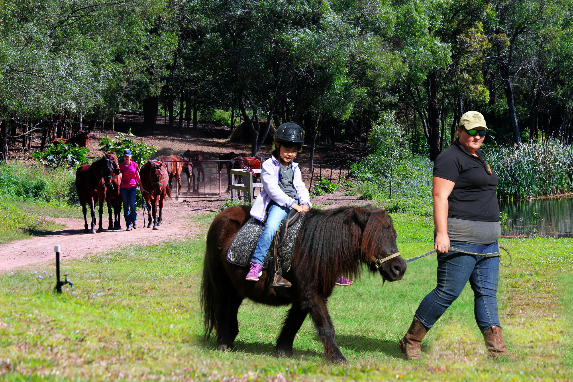 Cedar Creek Lodges Mount Tamborine Exterior foto