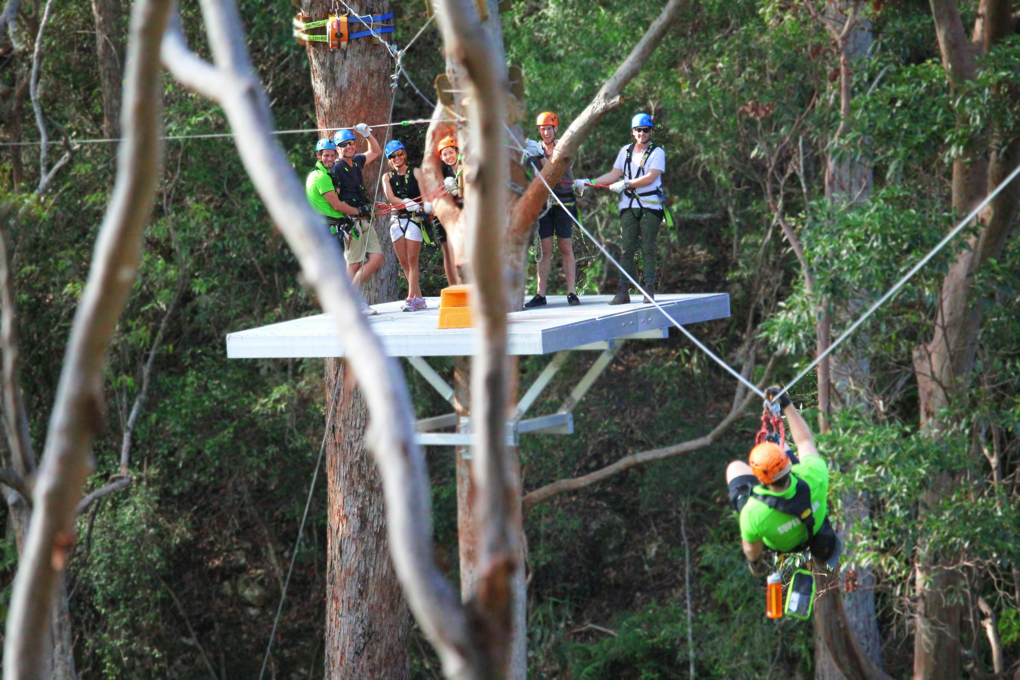 Cedar Creek Lodges Mount Tamborine Exterior foto